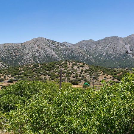 Villa Skyphos Amudári Kültér fotó