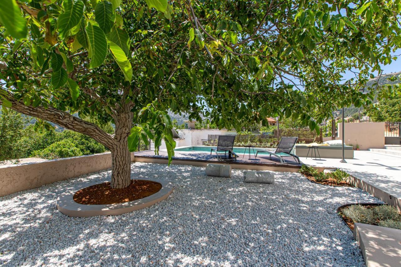 Villa Skyphos Amudári Kültér fotó
